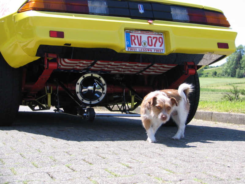 Klassikwelt Bodensee 2009