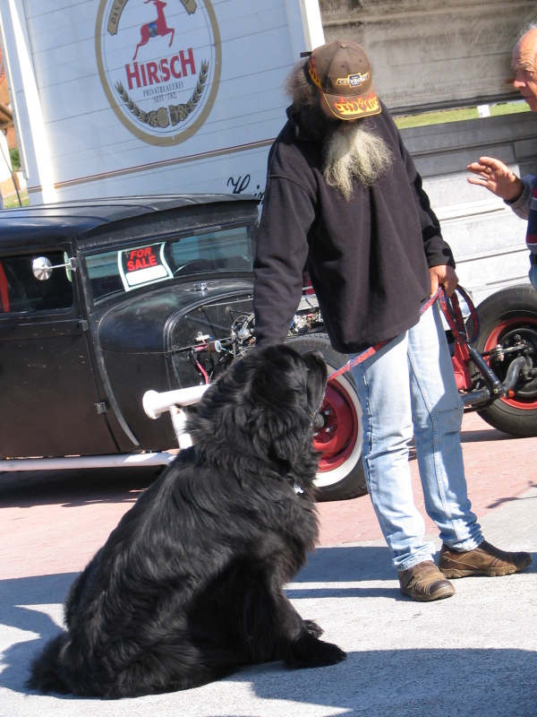 2. American Car & Harley Meeting 