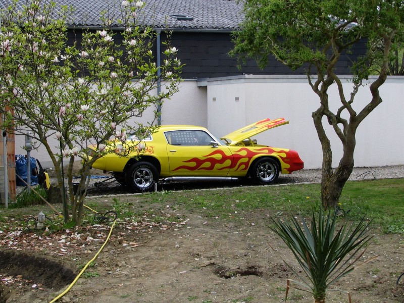 Tuning World Bodensee 2010