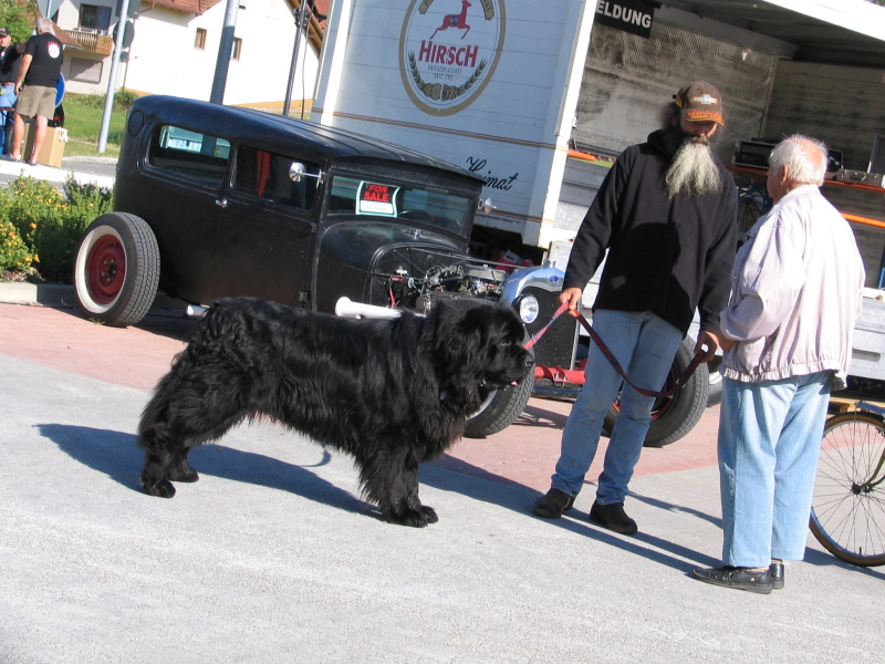 2. American Car & Harley Meeting 